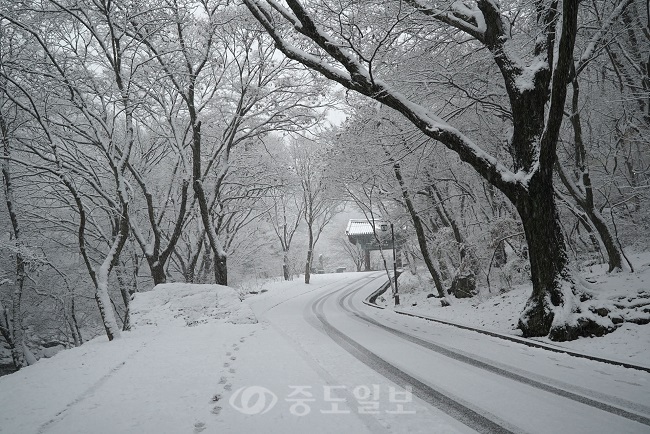 ▲ 계룡산 국립공원에 올해 첫눈이 내렸다. 26일 오전 10시 30분까지 적설량은 6cm를 기록했다.