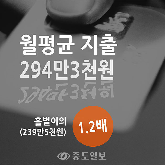 ▲ 맞벌이 부부의 월평균 지출은 294만3000원으로, 홀벌이 부부(239만5천원)의 1.2배를 쓰는 것으로 나타났습니다. 