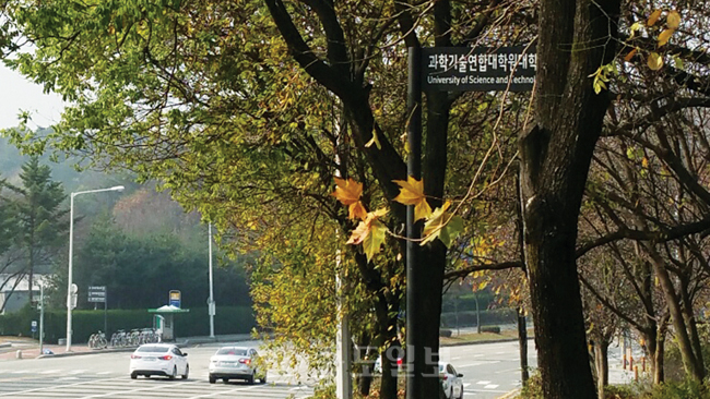 ▲ 숨은 표지판 찾기  유성구 가정로에 세워져 있는 과학기술연합대학원대학교(UST) '사설안내표지판'이 가로수에 가려 보이지 않는다.