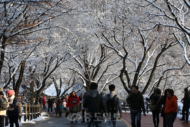 ▲ 본격적인 겨울을 알리는 폭설을 내린 3일 오후 서울 남산 N 서울타워 입구에서 관광객들이 눈꽃 터널 걸으며 설경을 즐기고 있다./연합뉴스