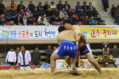 ▲ 각종 대회유치로 스포츠특구 조성.