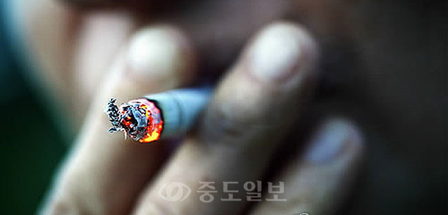 ▲ /사진=연합DB