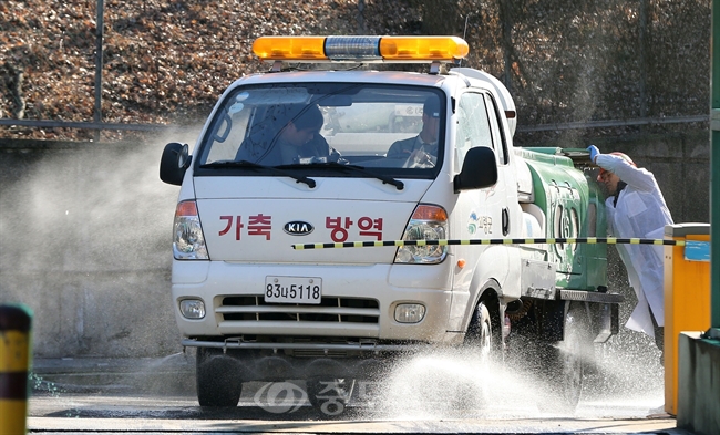 ▲ 12일 오후 경북 고령축산물공판장에서 관계자들이 소독작업을 하고 있다. 이날 전북 김제의 한 양돈농가에서 구제역이 발생했다./연합