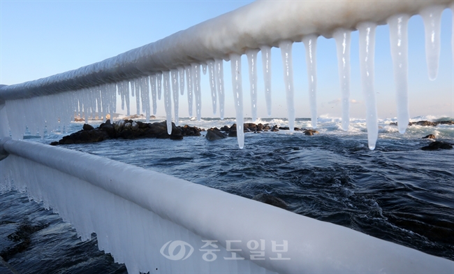 ▲ 이번 겨울 들어 가장 낮은 기온을 기록한 19일 강원 양양의 바닷가 난간에 높은 파도가 일면서 바닷물이 얼어붙어 고드름이 생겼다./연합뉴스