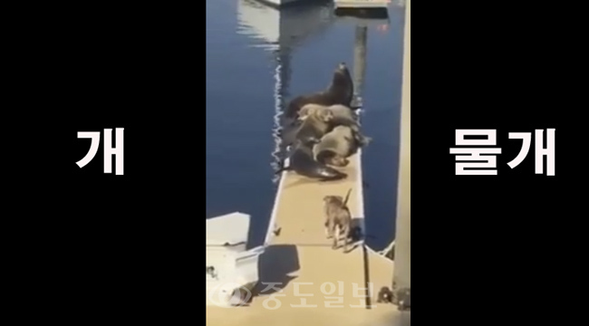 ▲ 유튜브 동영상 캡처 수정