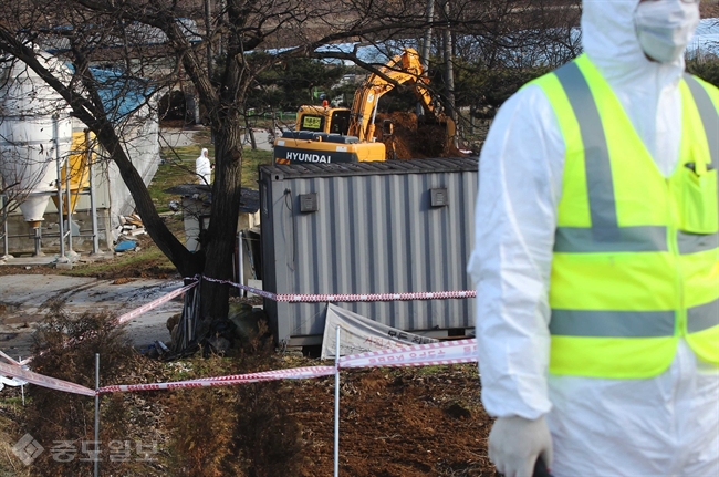 ▲ 17일 오후 충남 공주시 한 구제역 의심 돼지농가에서 방역당국 관계자가 땅 파기 작업을 하고 있다. 최종 정밀검사 결과는 18일에 나올 예정이다. /연합