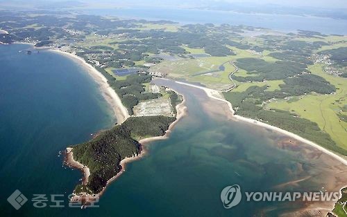 ▲ 충남 태안 안면도 국제 관광지 개발 예정지 << 연합뉴스 자료사진 >>
<br />