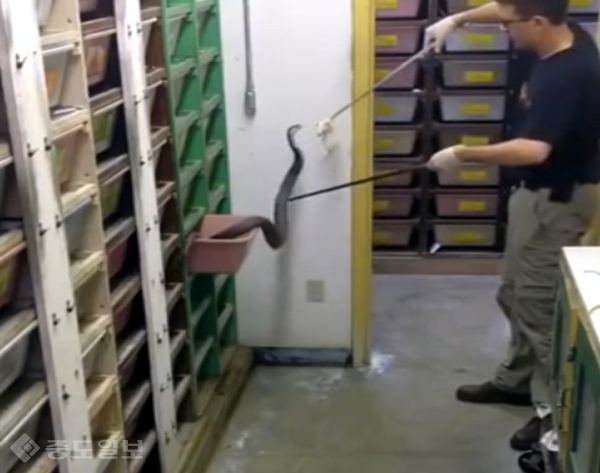 ▲ 유트브 영상 캡처