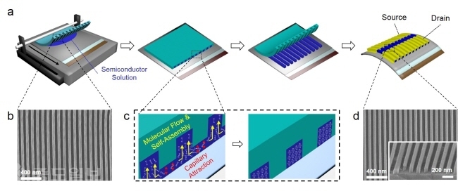 ▲ (a) 유기 반도체 단결정 성장 묘사 (b) 선형의 나노구조패턴이 있는 몰드의 전자현미경 모습 (c) 모세관력에 의한 유기 반도체 결정 성장 묘사 (d) 생성된 유기 반도체 단결정의 전자현미경 모습. 제공=연구재단