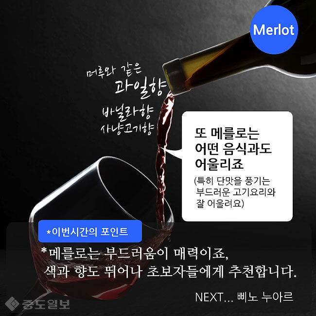 ▲ 그래픽=연선우 기자