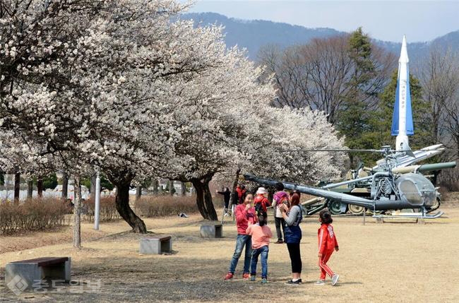 ▲ 국립대전현충원 보훈장비 전시장에 핀 매화