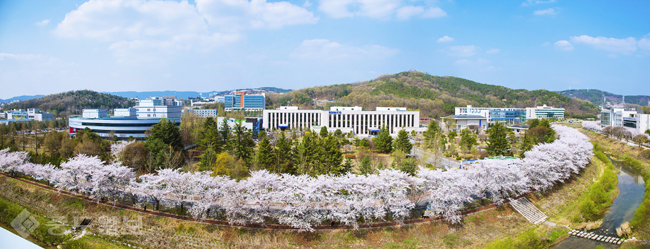 ▲ 벚꽃 핀 한국조폐공사 전경.