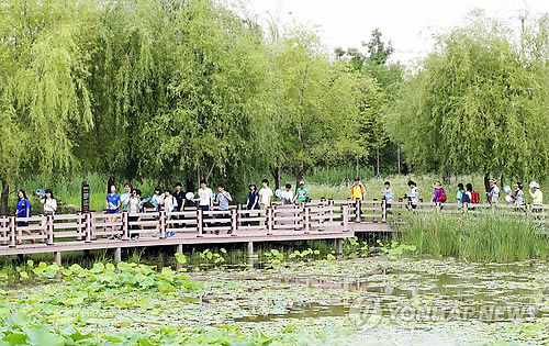 ▲ 대전의 대표적인 도심숲인 한밭수목원의 모습./자료=연합 DB