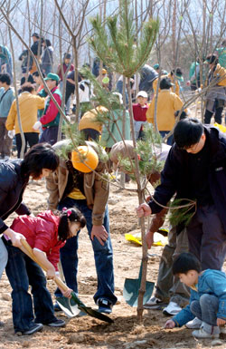 ▲ 자료/중도 DB