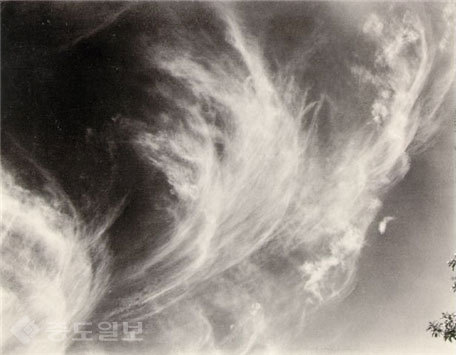 ▲ <등가물>, 스티글리츠, 1930 ▲ <등가물>, 스티글리츠, 1930