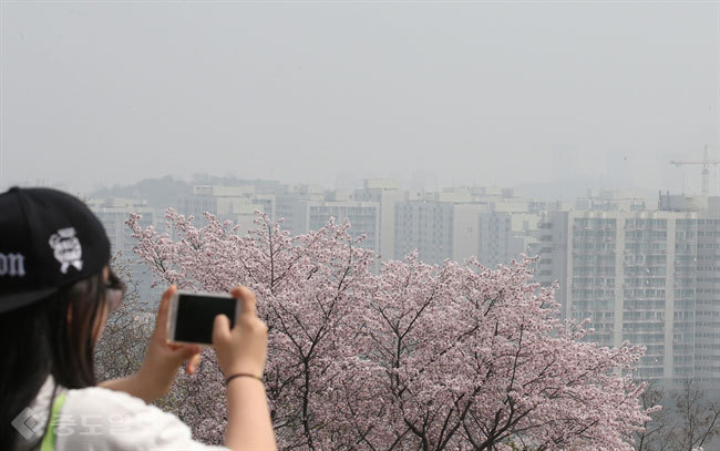 ▲사흘 연속 미세먼지 주의보가 발령된 10일 서울 남산에서 바라본 서울 하늘이 뿌연 모습을 보이고 있다. 이날 낮 12시 기준 서울 25개 구의 미세먼지 시간 평균 농도는 159㎍/㎥를 기록했다. 연합뉴스