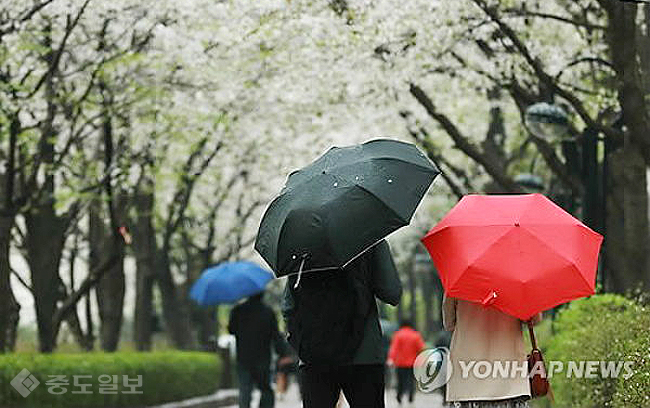 ▲ 선거날인 내일 날씨에 대한 궁금증이 커지고 있다./연합뉴스 DB