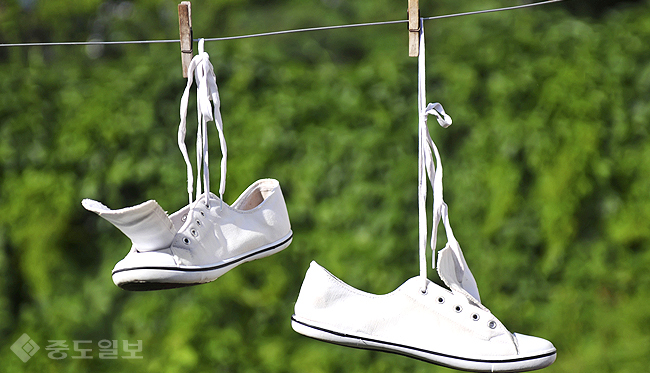 ▲ 운동화 세탁법 /게티이미지뱅크 ▲ 운동화 세탁법 /게티이미지뱅크