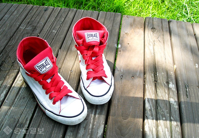 ▲ 운동화 세탁법 /게티이미지뱅크 ▲ 운동화 세탁법 /게티이미지뱅크