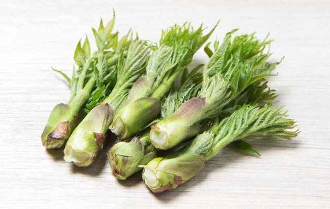 ▲ 게티이미지뱅크 ▲ 게티이미지뱅크