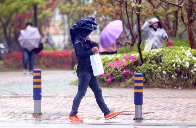 ▲시민이 비바람 때문에 힘겹게 우산을 쓰고 걸어가고 있다. 연합뉴스 