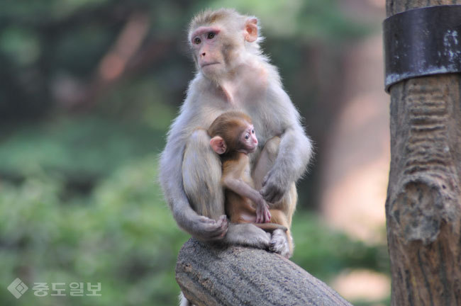 ▲ 게티 이미지 뱅크 ▲ 게티 이미지 뱅크