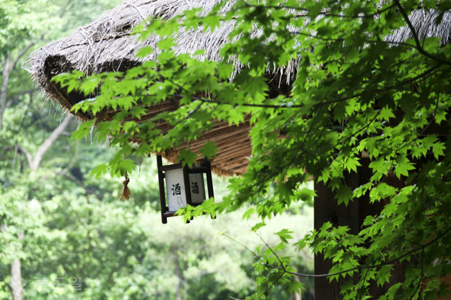 ▲ 게티이미지 뱅크 ▲ 게티이미지 뱅크