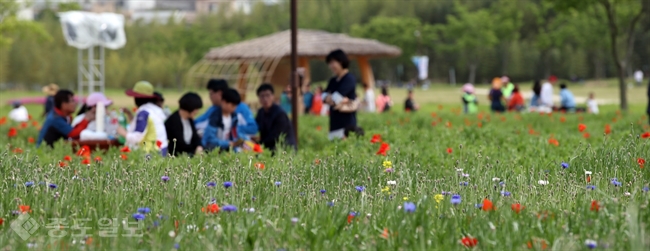 ▲ 내일 날씨. 울산 태화강대공원에서 시민들이 꽃 속에서 즐거운 시간을 보내고 있다./연합뉴스