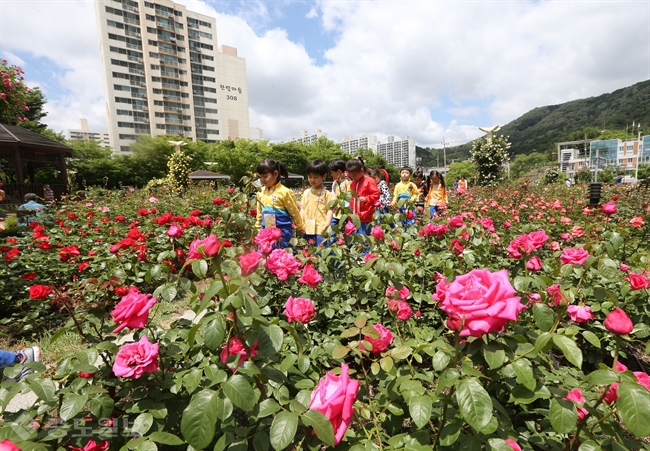 ▲ 내일 날씨 /연합뉴스