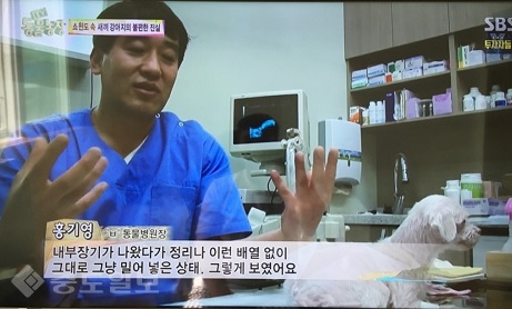 ▲ TV 동물농장 방송화면 ▲ TV 동물농장 방송화면