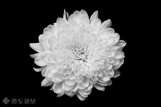 ▲사진=게티이미지뱅크 ▲사진=게티이미지뱅크