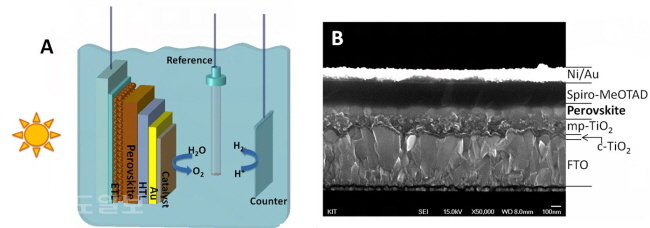 ▲ 페로브스카이트 광전극을 이용한 태양광 물분해의 모식도(A)와 페로브스카이트 광전극의 단면 구조를 전자 현미경을 통해 관찰한 이미지(B). 제공=한국연구재단