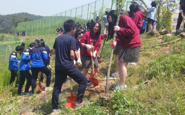 ▲ 세종국제고 학생들이 '학교 무궁화동산 만들기 행사' 뒤 교내에서 무궁화 식재를 하고 있다. 세종교육청 제공