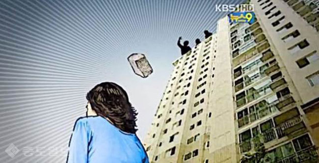 ▲작년 10월 캣맘사건 보도당시 KBS1 TV 뉴스 화면 모습. 