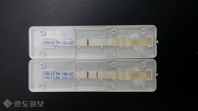 ▲ 항체를 이용한 항원검출용 키트(NS1) 양성반응.