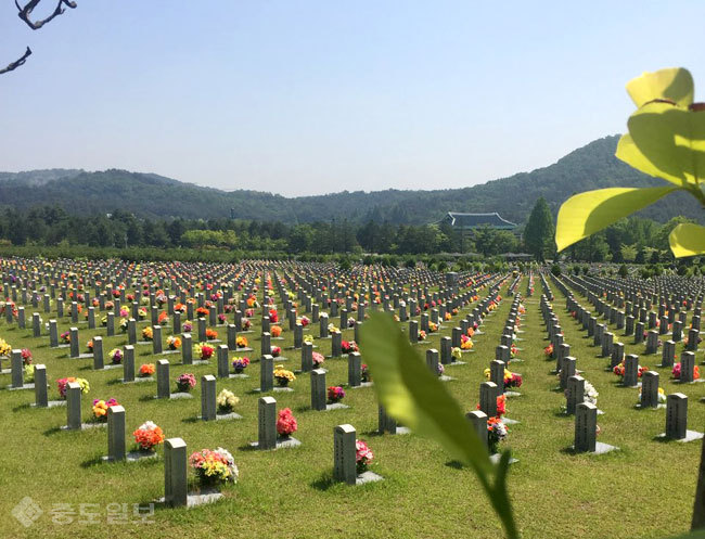 ▲제1사병 묘역에서 바라본 대전현충원. 