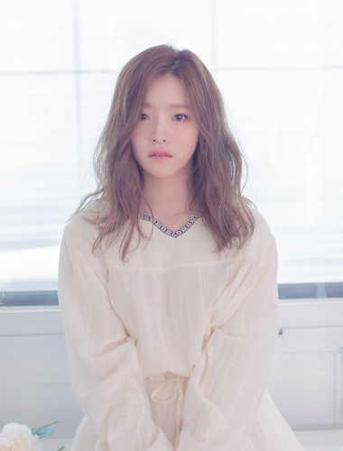 ▲  /노컷뉴스 제공.