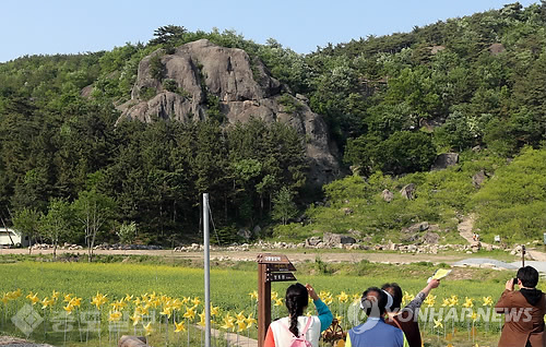 ▲ 노무현 전 대통령의 고향인 경남 김해시 진영읍 본산리 봉하마을 부엉이바위 모습/사진=연합 DB
<br /> ▲ 노무현 전 대통령의 고향인 경남 김해시 진영읍 본산리 봉하마을 부엉이바위 모습/사진=연합 DB
<br />