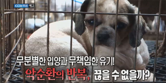 ▲100분 토론 예고화면 캡쳐.