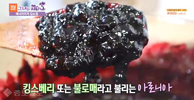 ▲ 중세시대에는 왕족이 즐겨먹어 ‘킹스베리’로도 불렸으며 동양에서는 ‘늙지않는 열매’라는 뜻으로 ‘불로매’라고도 불렸다./사진은 화면 캡처