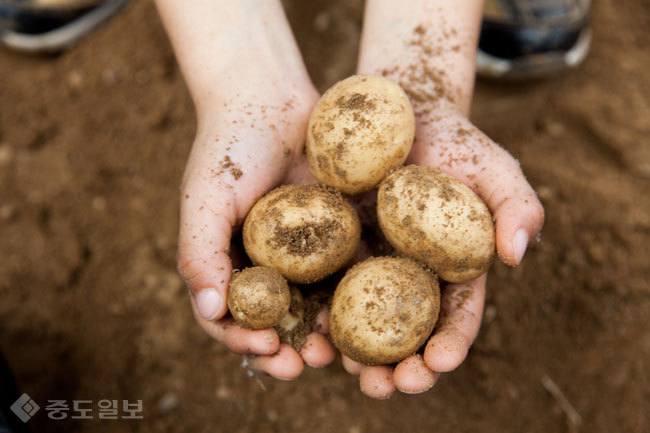 ▲사진=게티이미지뱅크