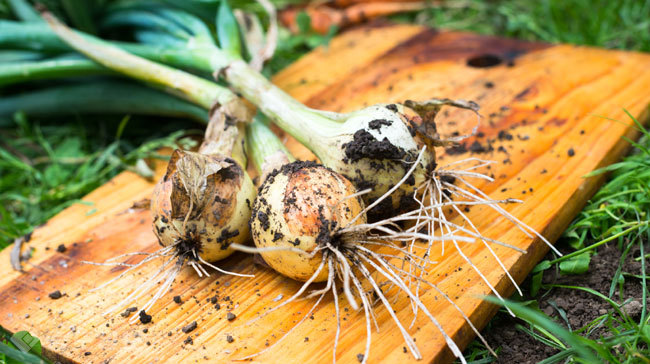 ▲ 사진=게티이미지뱅크 ▲ 사진=게티이미지뱅크