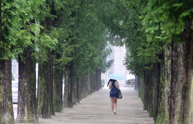 ▲ 광주 북구 전남대학교에서 한 학생이 우산을 쓰고 걷고 있다./연합뉴스