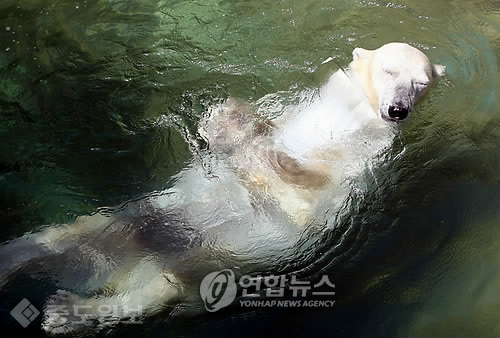 ▲ 사진=연합 DB ▲ 사진=연합 DB