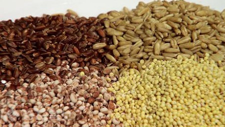 ▲ 생로병사의 비밀 예고화면