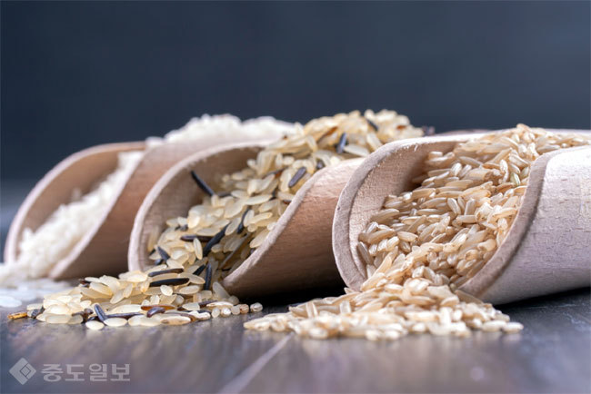 ▲ 사진=게티이미지뱅크 ▲ 사진=게티이미지뱅크