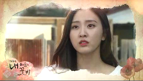 ▲ 내마음의 꽃비 ▲ 내마음의 꽃비