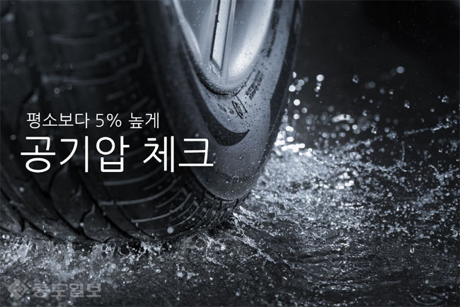 ▲사진=게티이미지뱅크 ▲사진=게티이미지뱅크