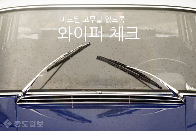 ▲사진=게티이미지뱅크 ▲사진=게티이미지뱅크