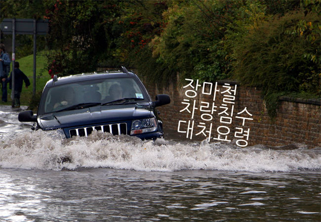 ▲사진=게티이미지뱅크 ▲사진=게티이미지뱅크